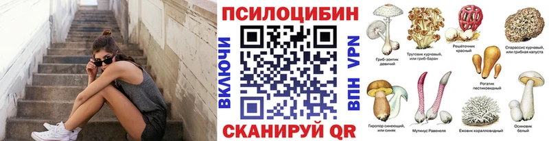это клад  Фёдоровский  Галлюциногенные грибы мицелий 